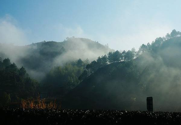 守護(hù)綠水青山是我們共同的責(zé)任